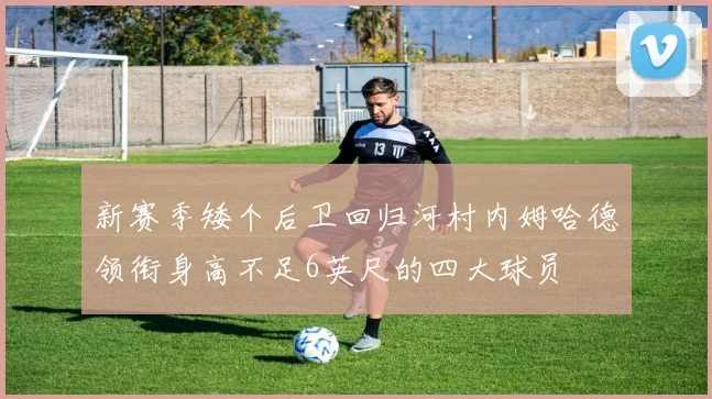 新赛季矮个后卫回归河村内姆哈德领衔身高不足6英尺的四大球员